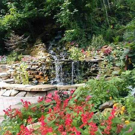 Black Forest Bed & Breakfast-2
